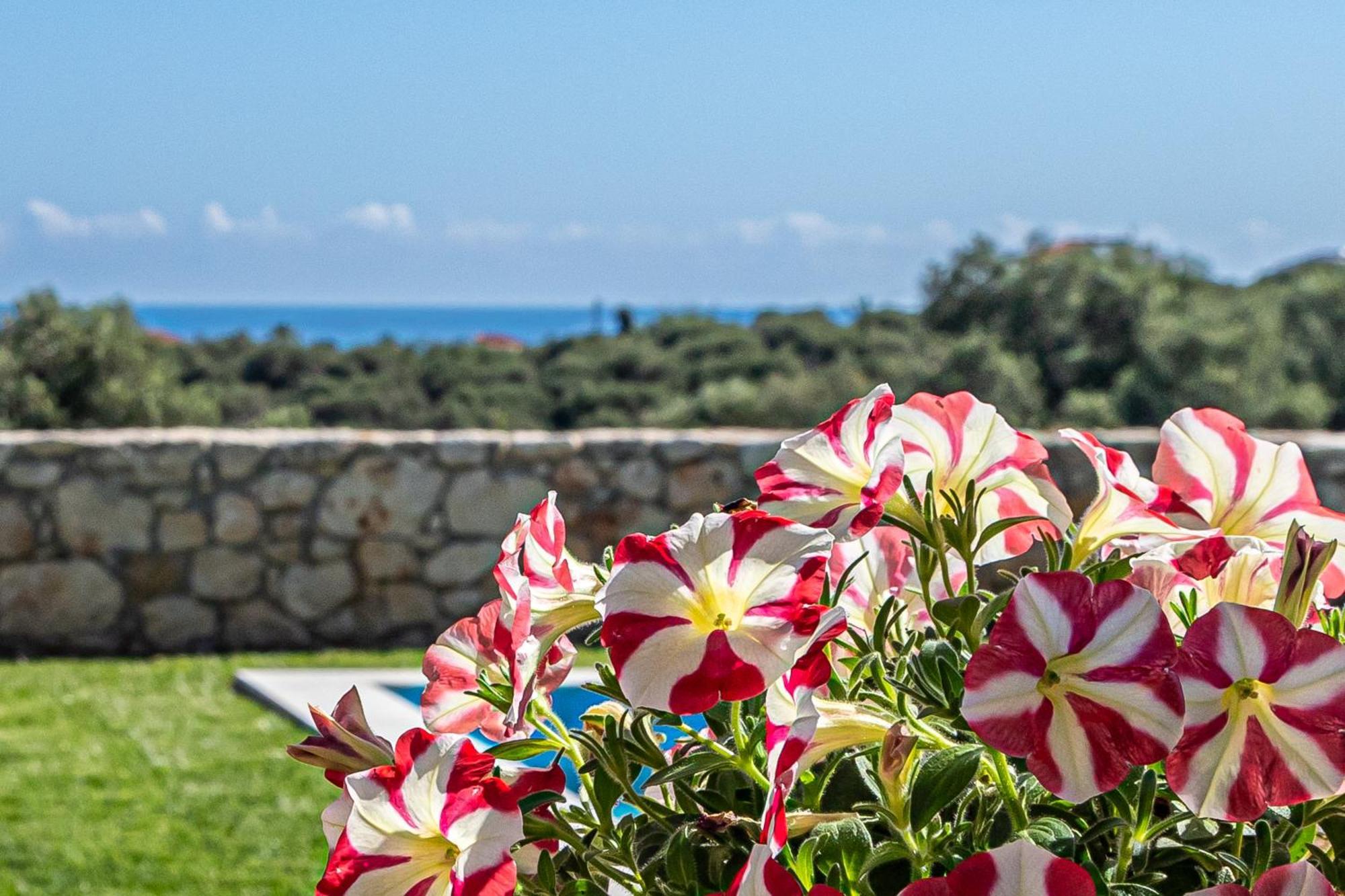 Villa Penelope Galatás Exteriör bild